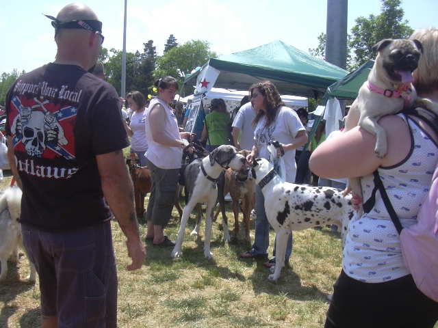 /images/events/11/Bark in the Park 2008 010.jpg